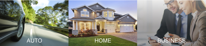 Auto Home Business Insurance